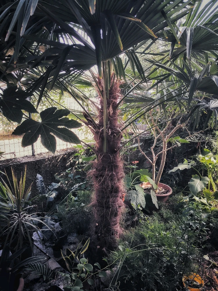 Immagine caricata da Mario