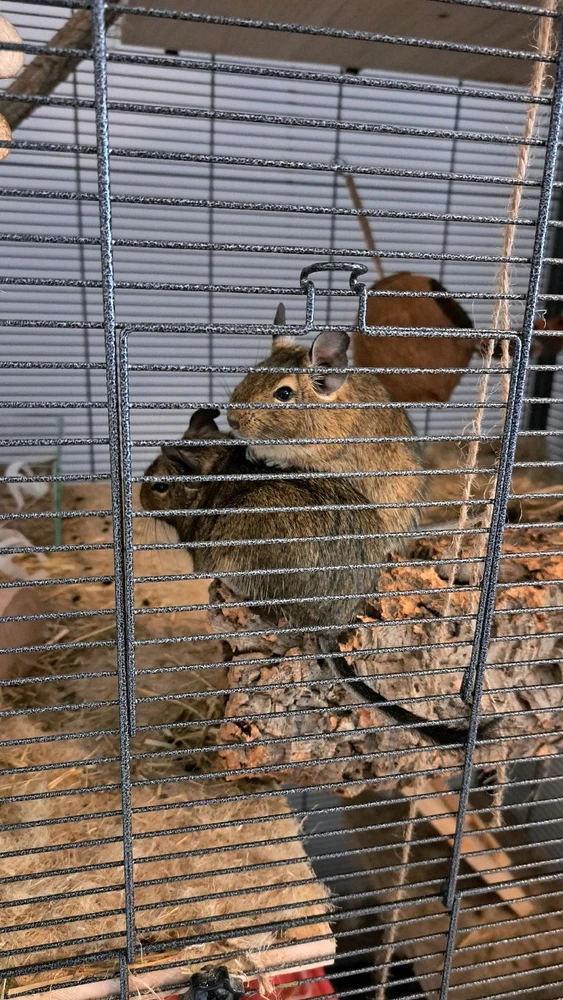 Bild hochgeladen von Sarah