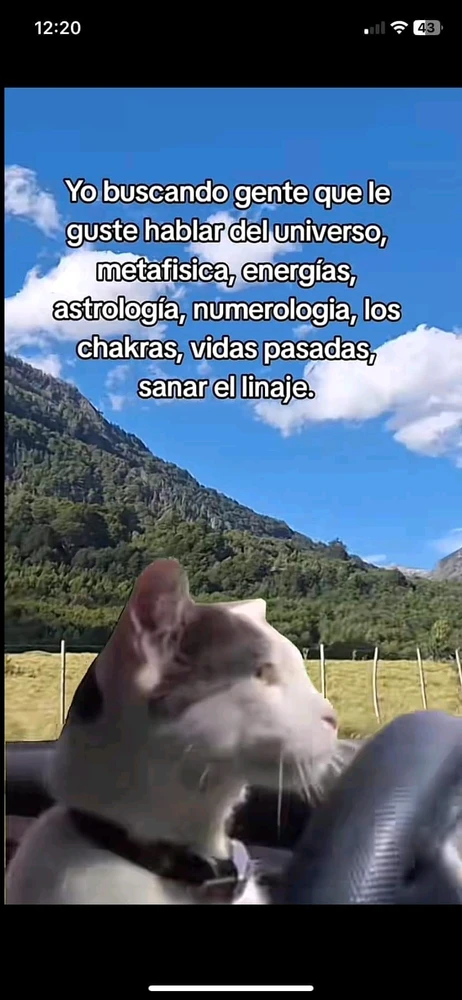 Imagen subida por Spunky🦇