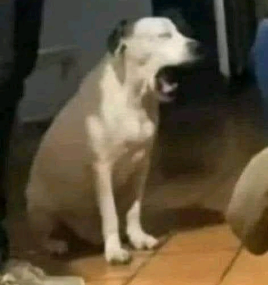 Imatge pujada per Yosadac