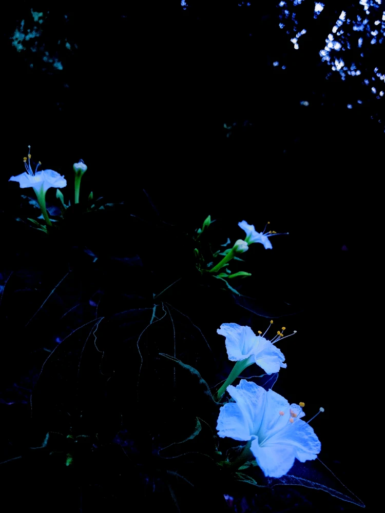 Creieu que com més creixem, més costa fer amistats?