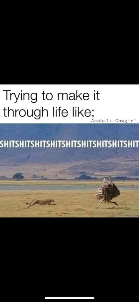 Bild hochgeladen von Mark