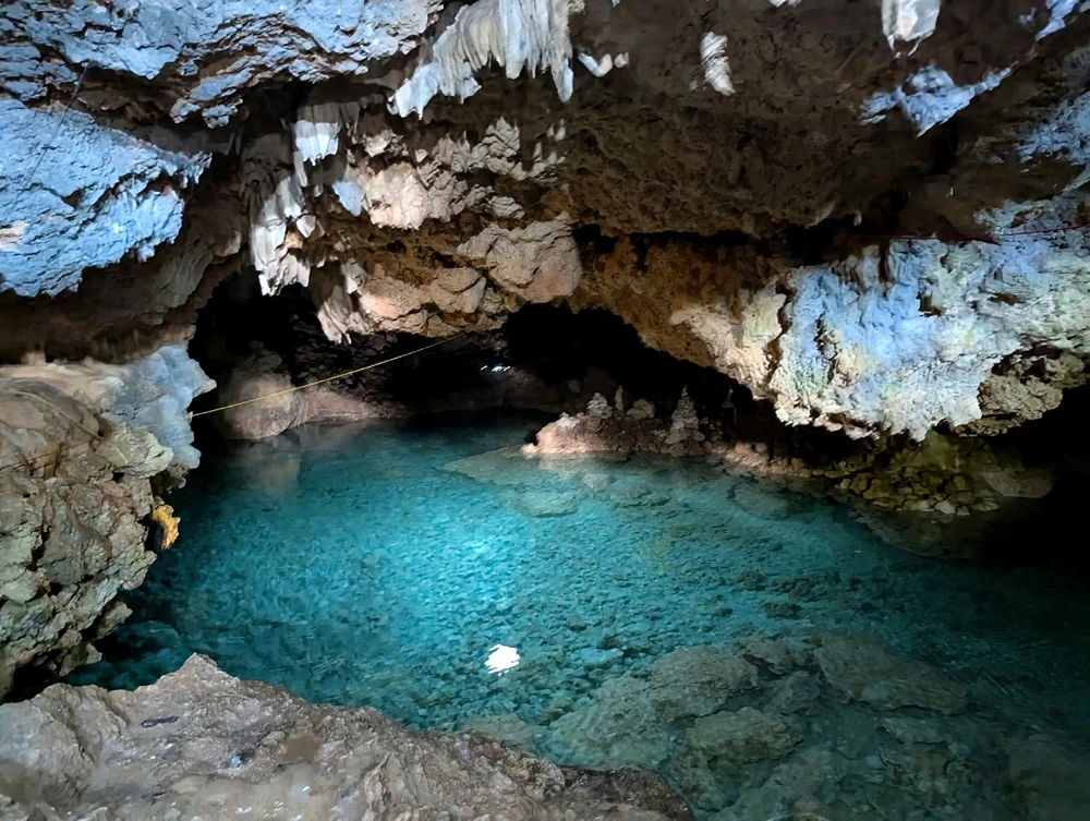 Image uploaded by Klei🌻⚖️