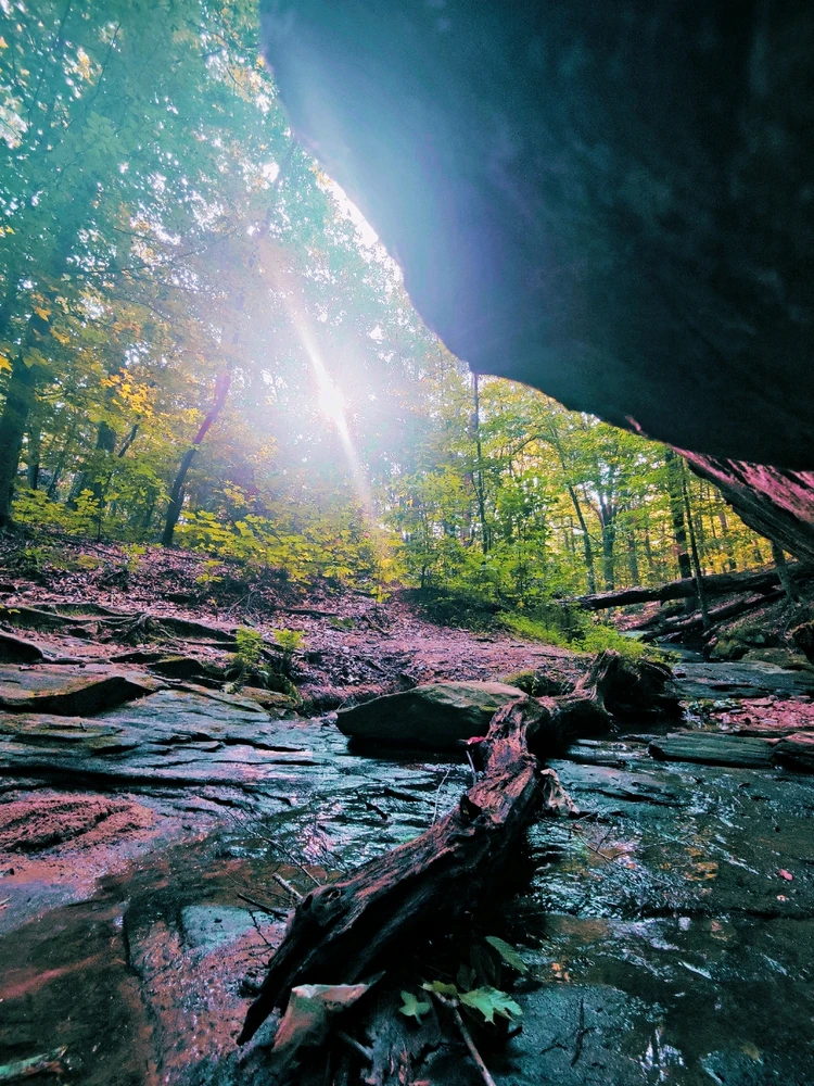 Image uploaded by Ruby