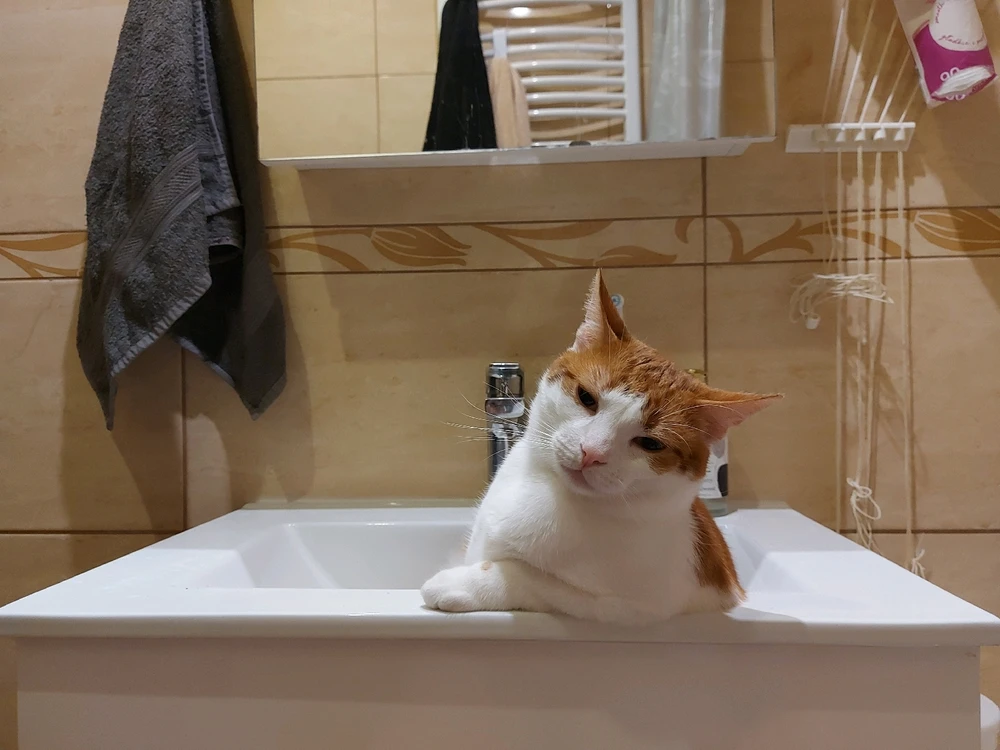 Zdjęcie dodane przez Anna