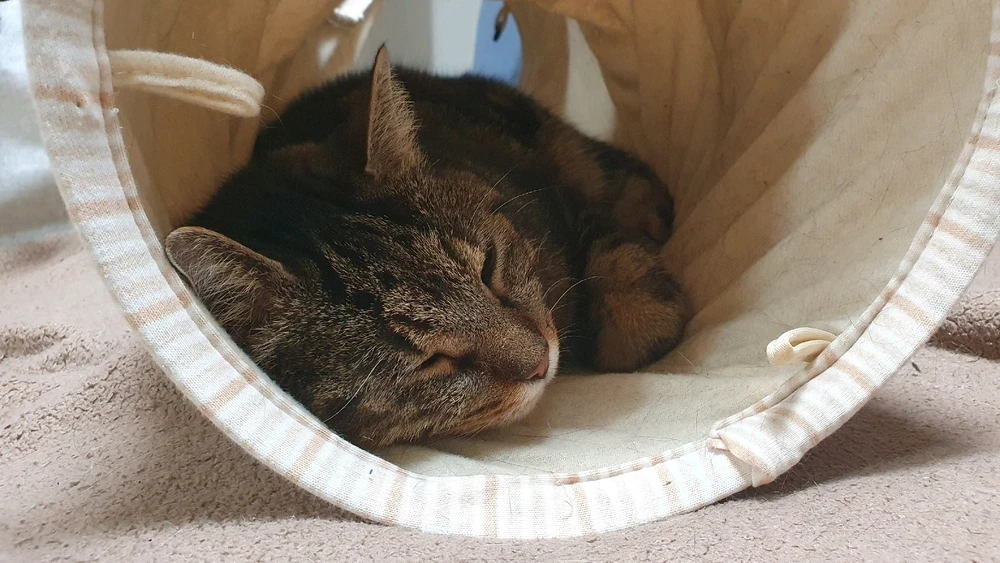 Bild hochgeladen von Patrik