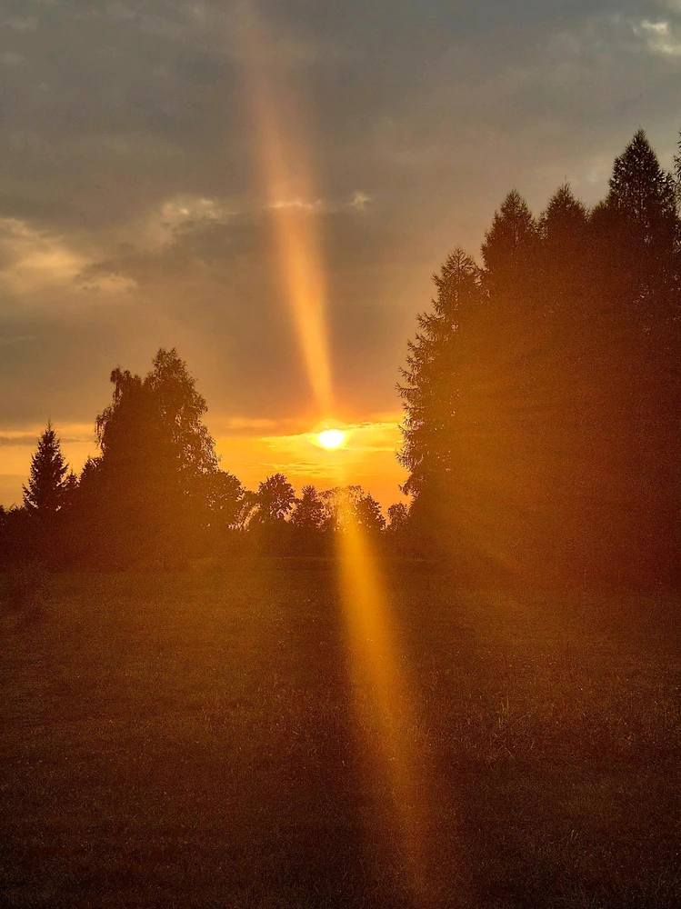 Zdjęcie dodane przez Dariusz