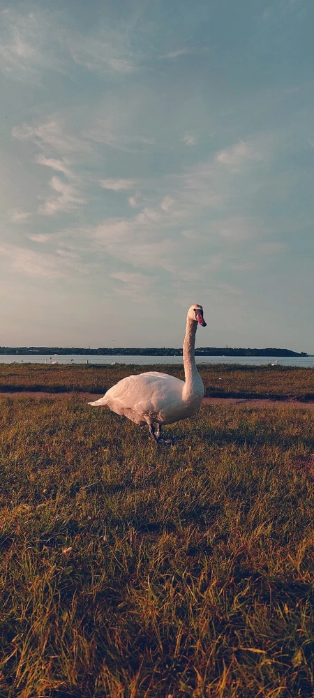 Zdjęcie dodane przez PeterPannFlyver