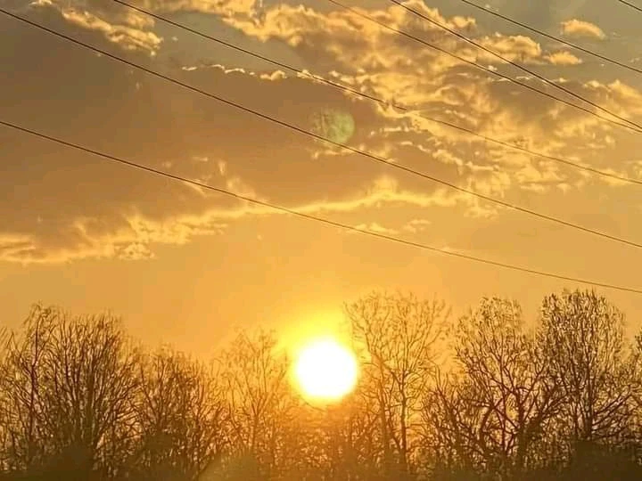 "Chasing sunsets and golden dreams."