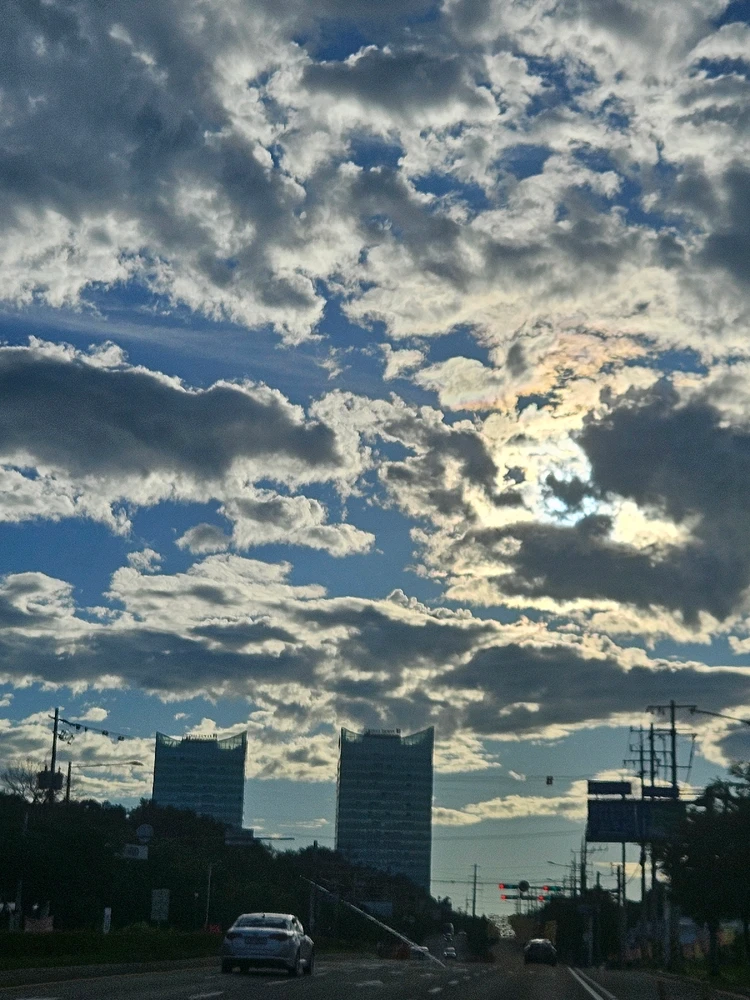 민딩님이 올린 사진