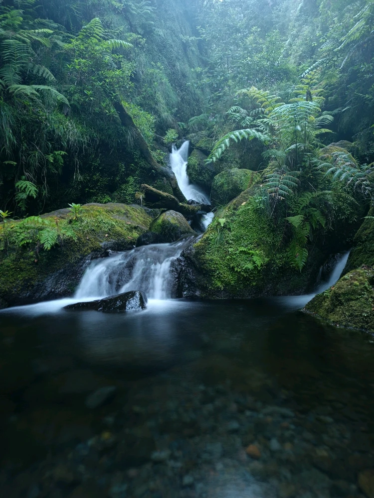 Obrázek nahrál Vlastimil
