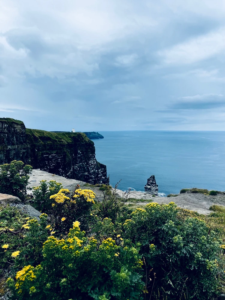 Zdjęcie dodane przez Aleksandra