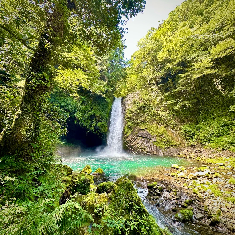 Renがアップロードした画像