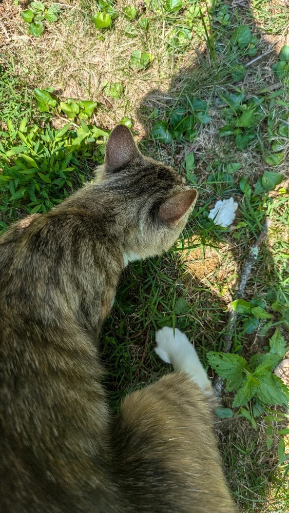 Image uploaded by Beau