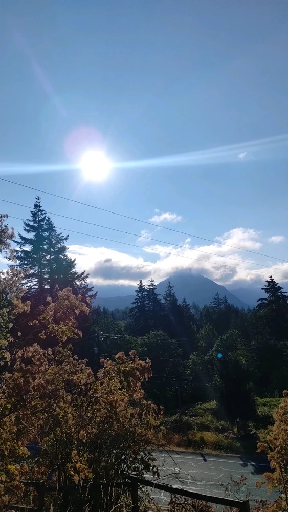 Image uploaded by Tennessee Honey 🐞