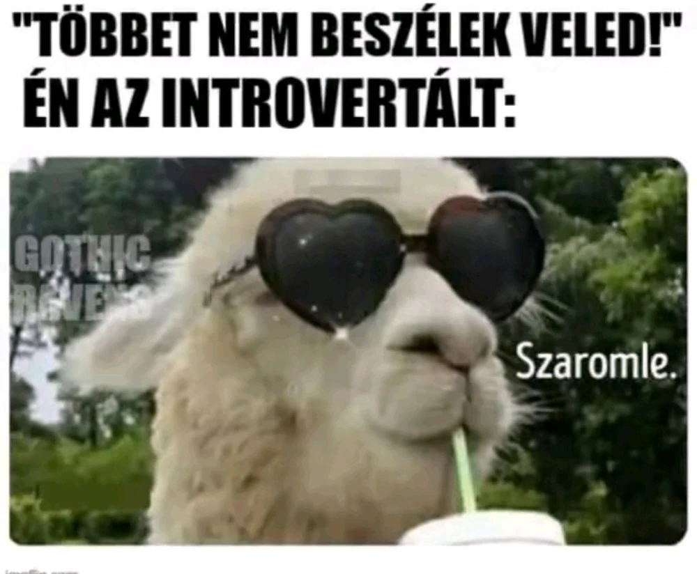 vanazúgy által feltöltött kép