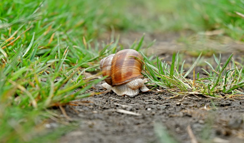 Obrázek nahrál Daniel Kovář