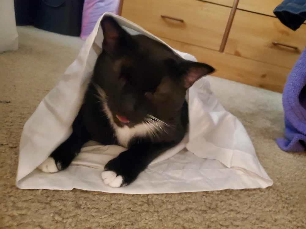 Gambar diunggah dening Liz