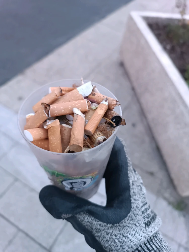 Gobelet remplis de mégots ramassés qui étaient jetés par terre