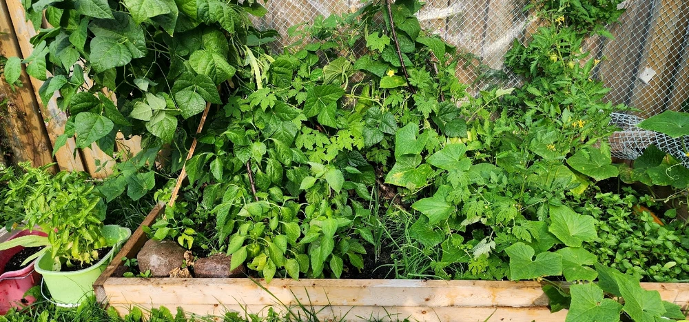 Very powerful garden lmao