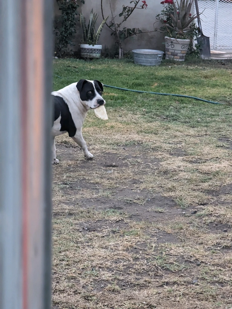 Imagen subida por Jose Marin