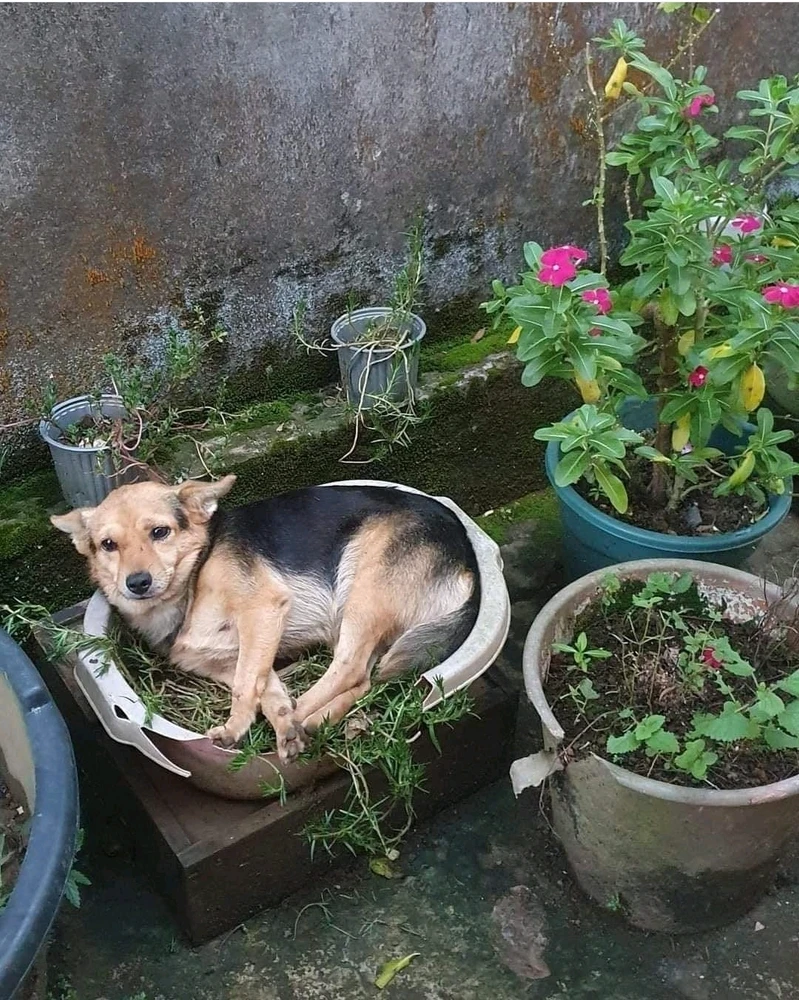 Imagen subida por F. Andrés