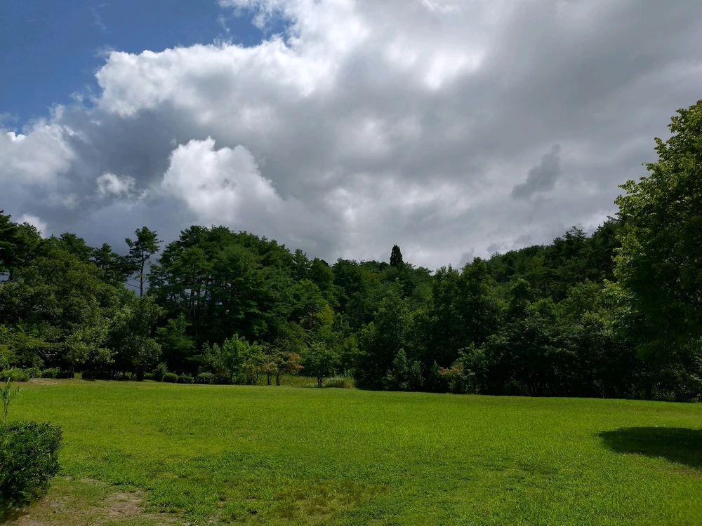 ケンがアップロードした画像