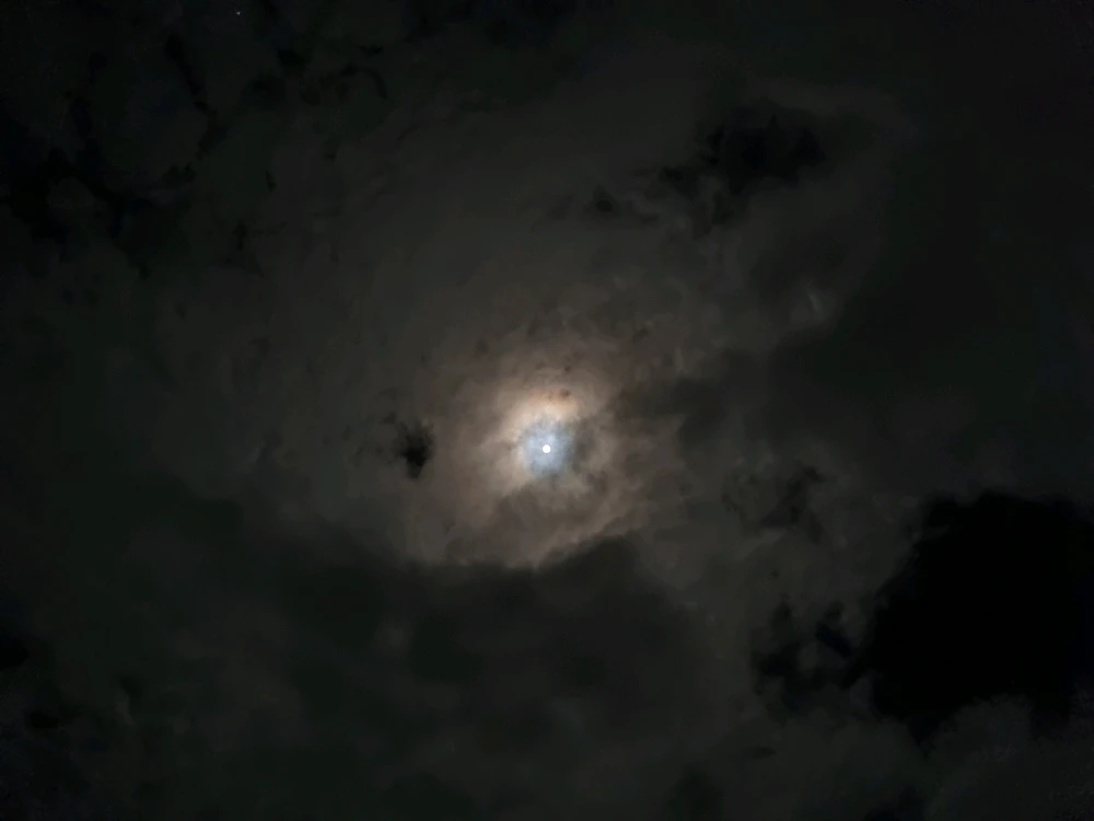 Nijin അപ്ലോഡ് ചെയ്ത ചിത്രം