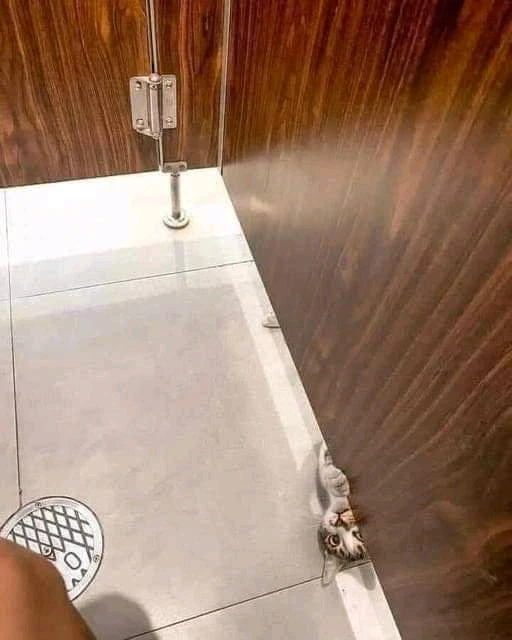 Image ajoutée par Pascal