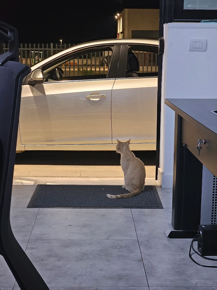 Immagine caricata da Mateusz