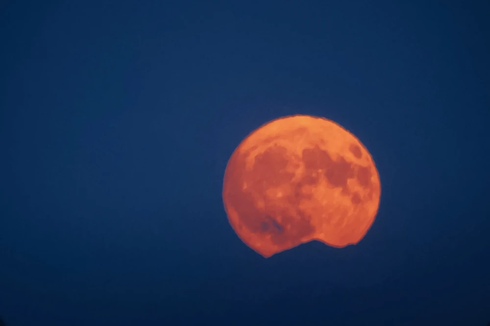 Image ajoutée par Alexandre