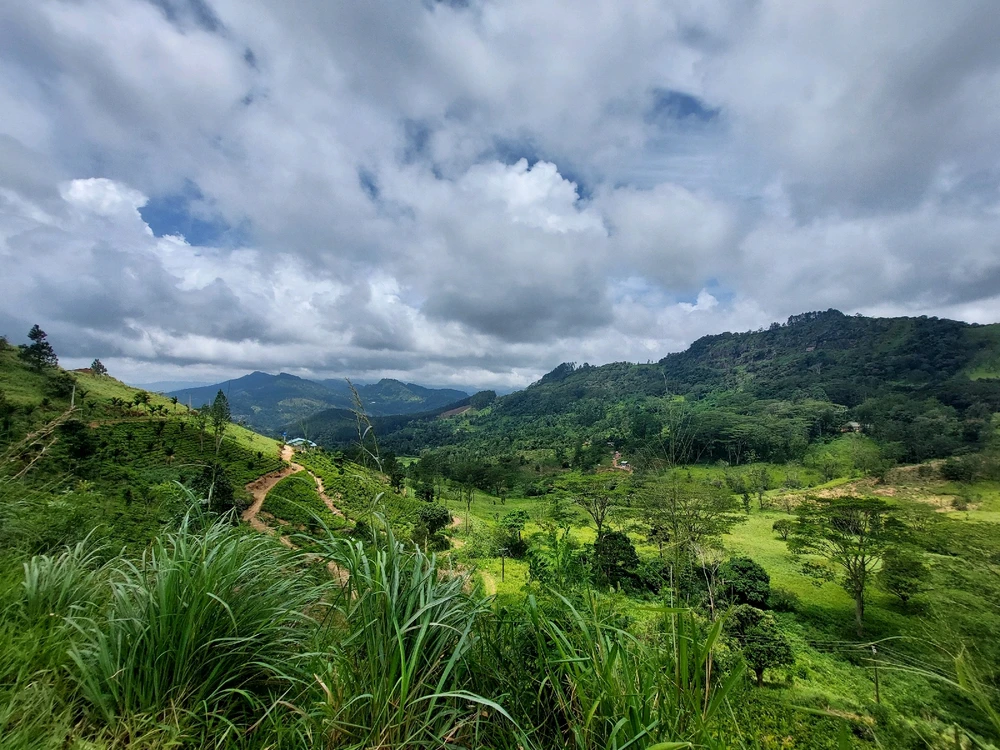 Image uploaded by Shehan