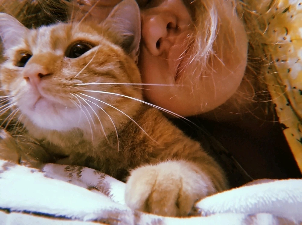 Фото загрузил Sandy