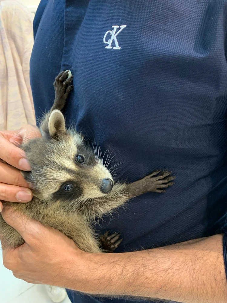 Íomhá uaslódáilte ag Maziar