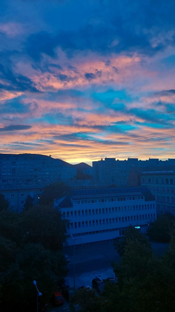 Lexi által feltöltött kép