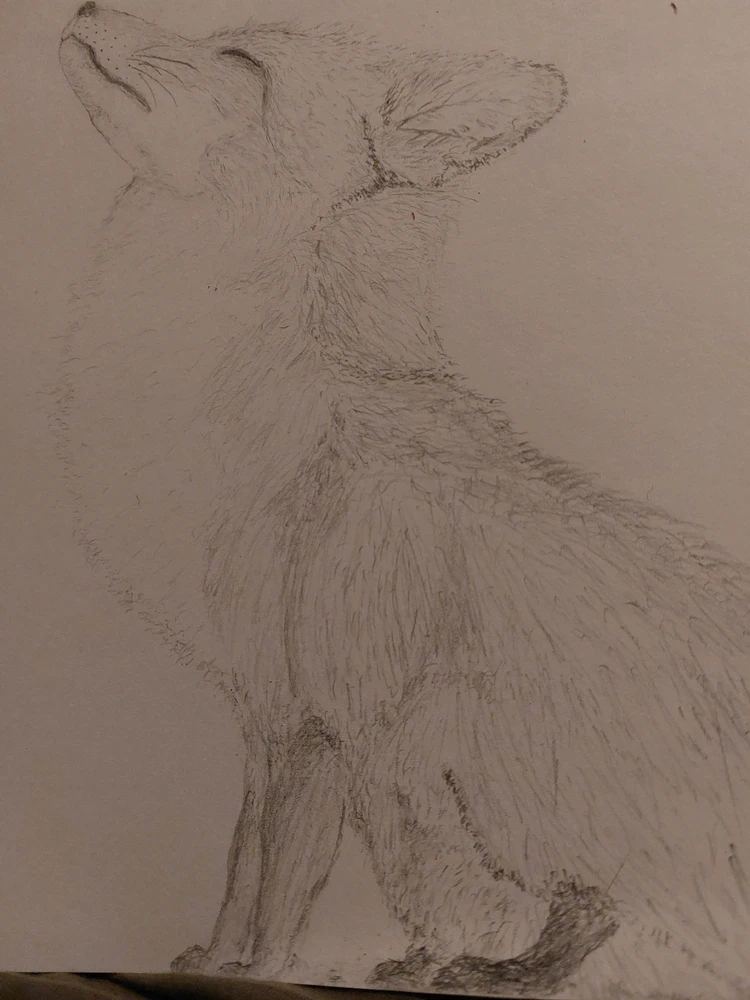 Billede uploadet af Morten