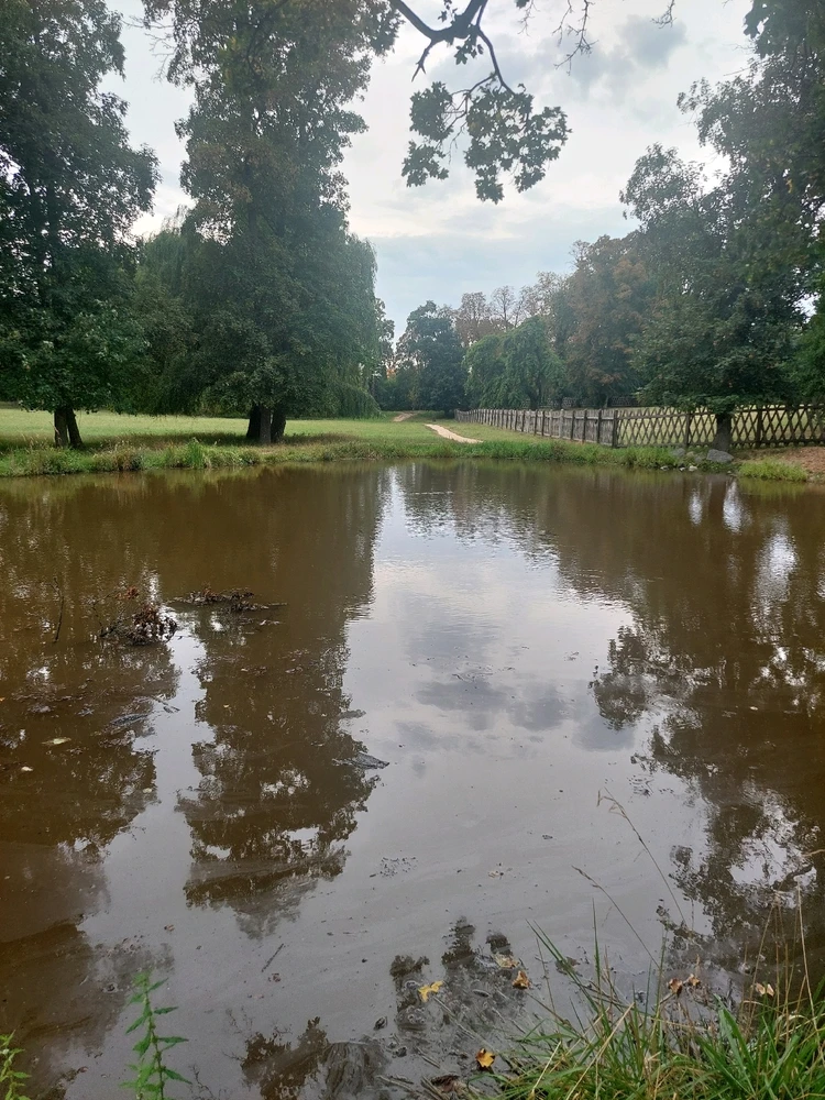 Obrázek nahrál Táňa