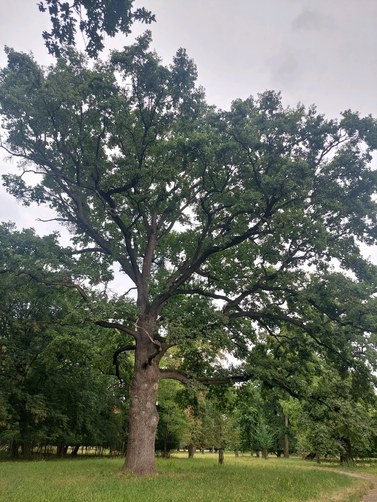 Obrázek nahrál Táňa