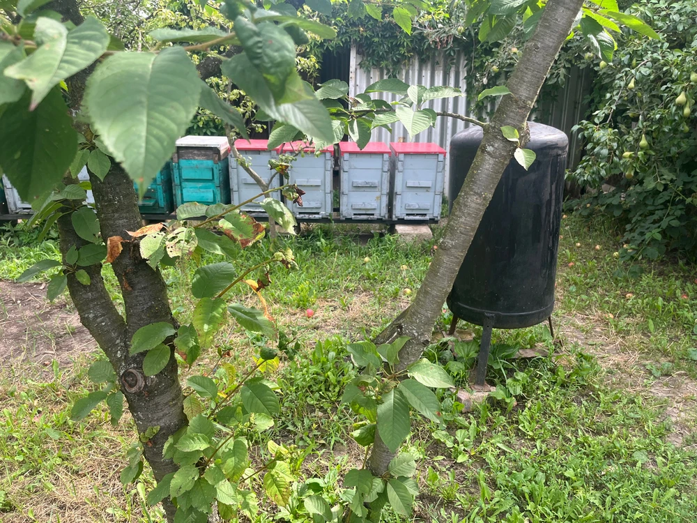 Lajos által feltöltött kép