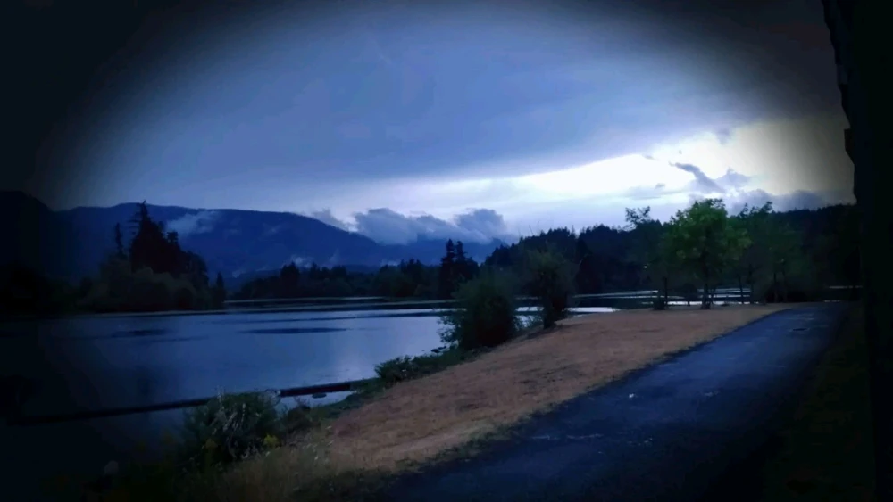 Image uploaded by Tennessee Honey 🐞