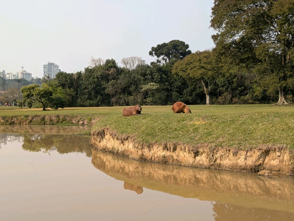 Image uploaded by Brad