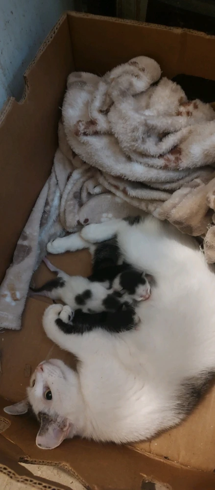 Gambar diunggah dening Joanna