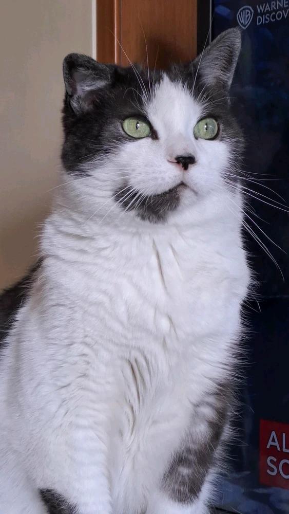 Immagine caricata da Chiara