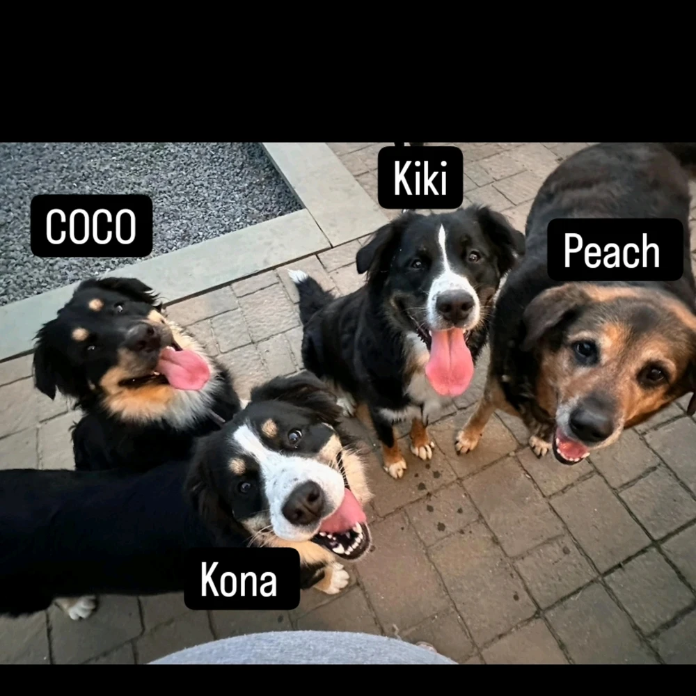 Kyle上傳的圖片