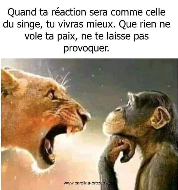 Image ajoutée par Amélie