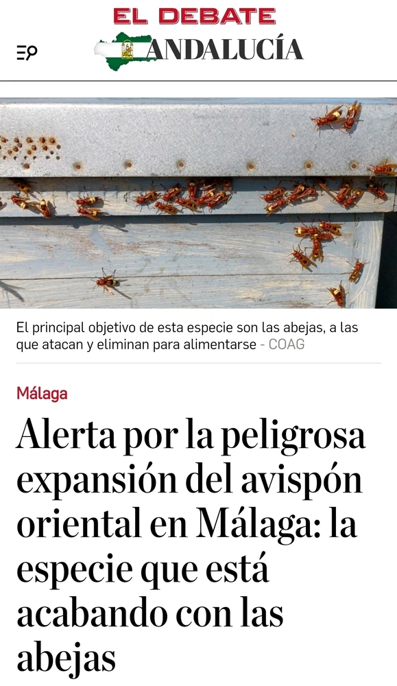 Gambar diunggah dening José