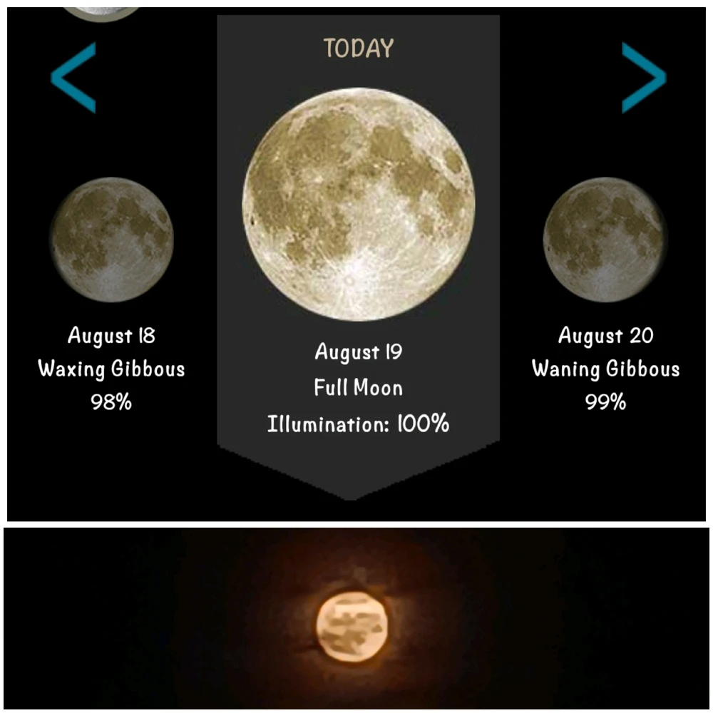 รูปที่อัพโหลดโดย 💐🌧️🥊🎨📖📊💪🌻