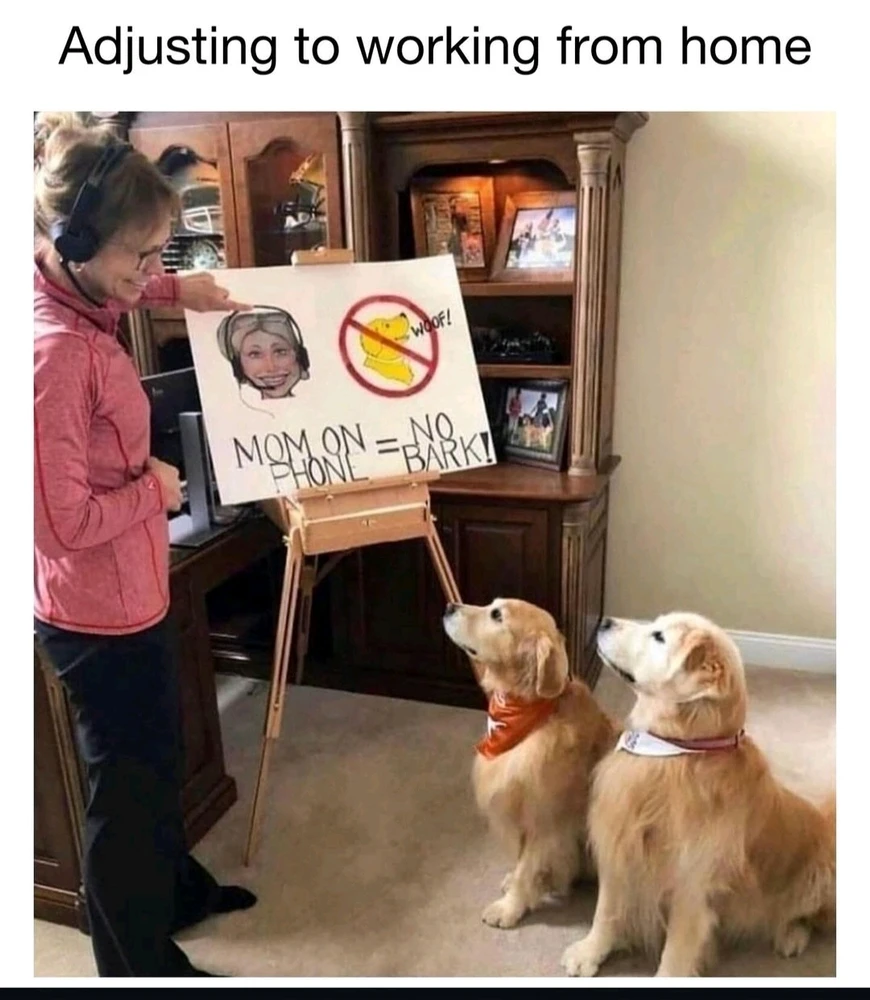 Image uploaded by Jacqueline