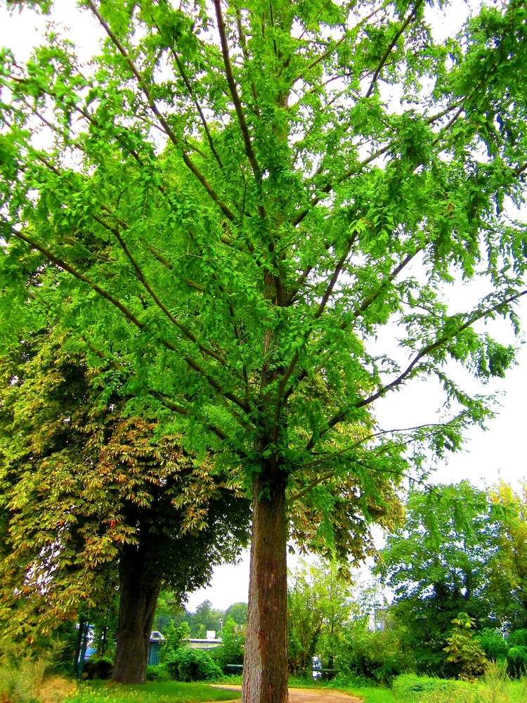 Bild hochgeladen von Nadine