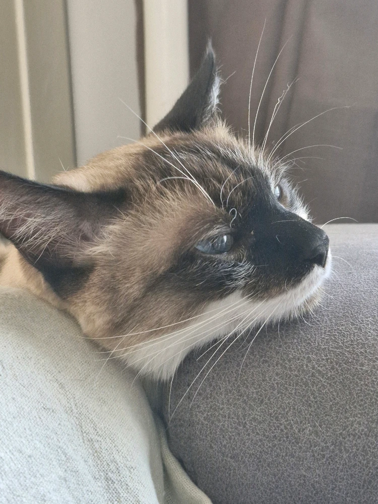 Imagem enviada por Hélder